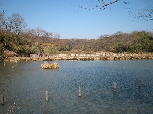 舞岡公園