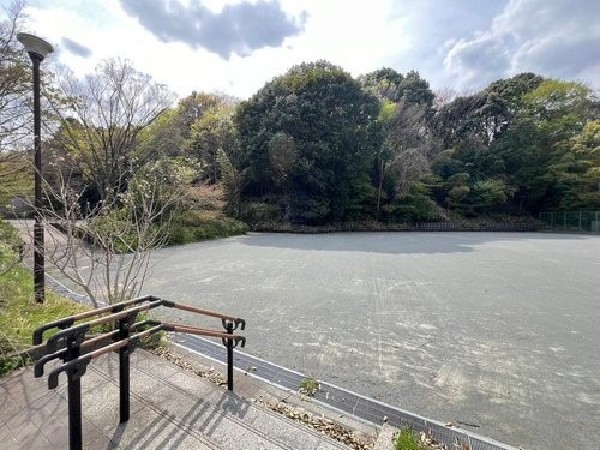 菅田いでと公園(自然豊かな静かな公園。野球ができる広場と、遊歩道があります。四季折々の草花や生き物を観察できます。)