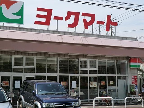 ヨークマート大倉山店(ヨークマート大倉山店まで1300m)