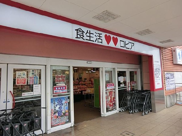 ロピアいずみ中央店(ロピアいずみ中央店まで450m)