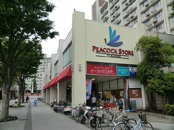 ピーコックストア洋光台店(ピーコックストア洋光台店まで1400ｍ)