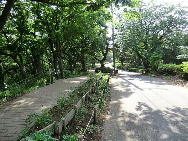 神の木公園(神の木公園まで400m)