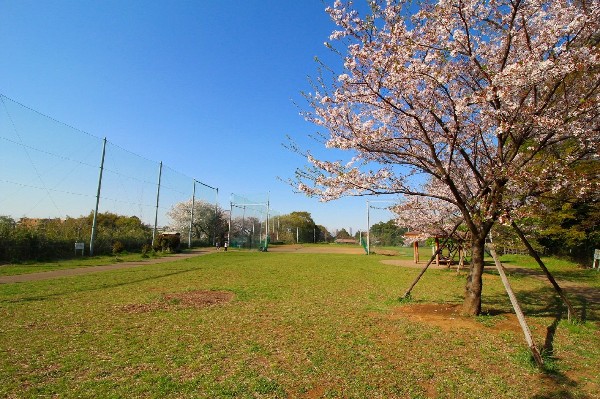 高津区市民健康の森　春日台公園(野球場が併設されている広々とした公園。都市圏にありながら森林浴が楽しめるほど、自然豊かな場所です。)