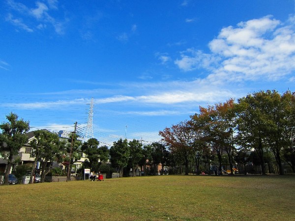 王禅寺公園(閑静な住宅街の中にある公園です。遊具のある広場が二か所あるほか、原っぱや公園の真中に遊歩道があります。野鳥もおり、自然にいやされます。)