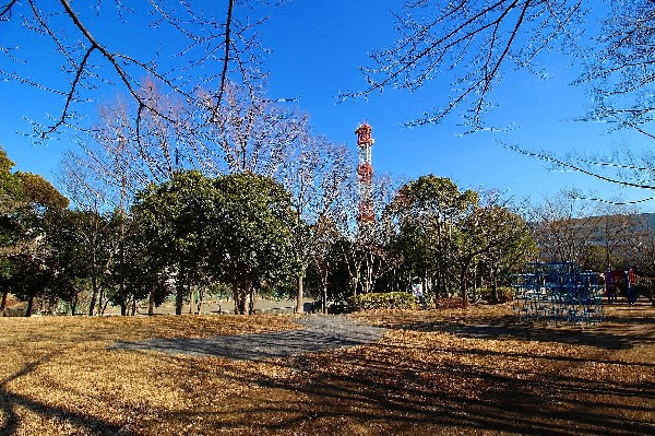 荏田富士塚公園(住宅街らしく近隣には公園が複数ありますので、お子様にも嬉しい住環境です。きっと、お気に入りの公園がみつかるはずです。)