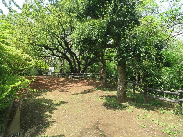 久末緑地(川崎市で初の特別緑地保全地区。ベンチやテーブルもあり、憩いを求めることが出来ます。)