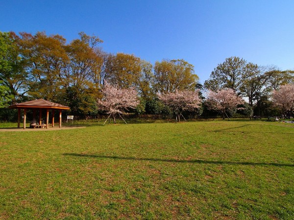 高津区市民健康の森　春日台公園(野球場が併設されている広々とした公園。都市圏にありながら森林浴が楽しめるほど、自然豊かな場所です。)