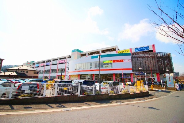 アメリア稲城(スーパー三和、ダイソー、マツキヨ、書店、衣料品店などが入る、ショッピングモールです。駐車場も広く休日のお買い物に便利です。)