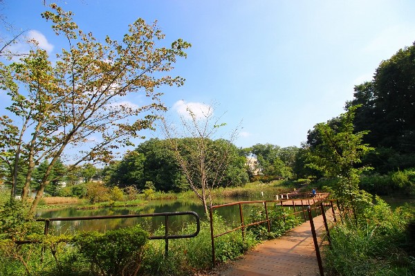 もえぎ野公園(青葉区で一番大きい池があるのどかな雰囲気の公園です。池を横断するデッキは、池の水面に近く、時々カモが一休みしています。)