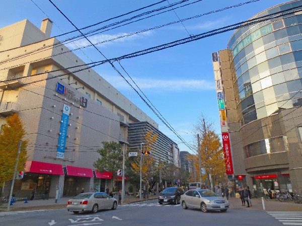 青葉台駅周辺(ショッピングモールや銀行、飲食店などが揃い、整備された美しい街並みです。)