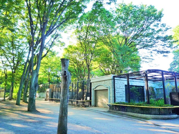 夢見ヶ崎公園　(夢見ヶ崎公園のある加瀬山は、標高35mの自然林が残る小高い丘で、四季折々の植物などを楽しめる憩いの場です。)