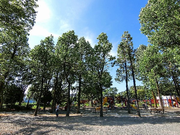 鷺沼公園(子どもの遊び場やアスレチック施設などもあり、幼児から大人まで楽しめる公園。自然の多いとても広い公園なので、ゆったりと寛げます。)