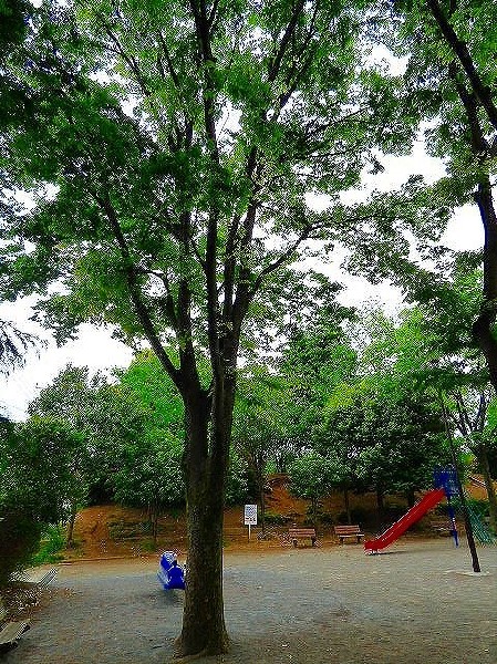 南生田公園(午前は小さな子どもやお母さんたち、午後は小学生たちでにぎやかな公園です。遊具広場、野球場、テニスコートもあります。)