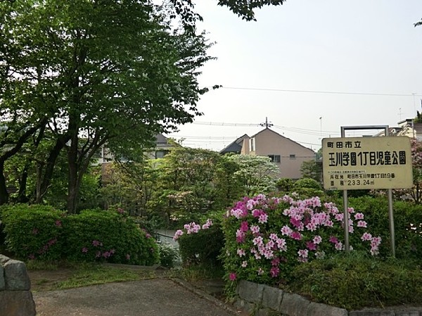 玉川学園1丁目児童公園(住宅街らしく近隣には公園が複数ありますので、お子様にも嬉しい住環境です。きっと、お気に入りの公園がみつかるはずです。)