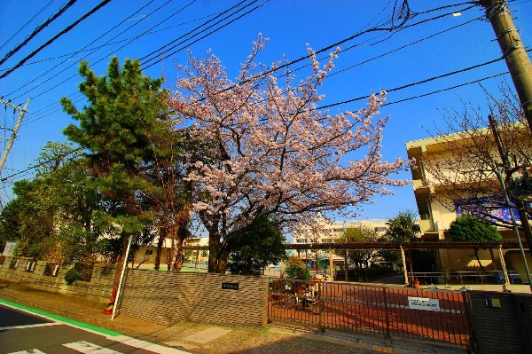 白幡小学校(心身ともに健康で、豊かな心情をもち、自分の言葉で語る実践力のあるたくましい子どもを育成します！)