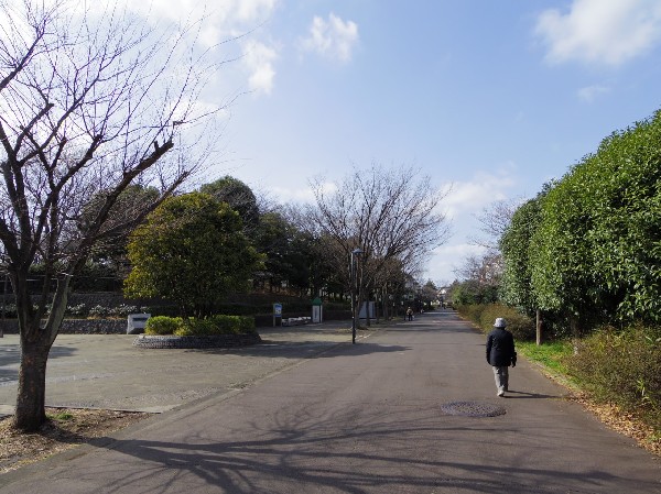 西菅公園(木々に囲まれた自然豊かな広い公園。遊具が揃っているので子供は大満足。紅葉の季節は綺麗な景観が大人も嬉しい。)