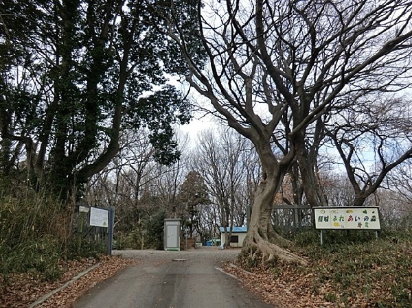 稲城ふれあいの森(樹木が立ち並び、木漏れ日を愉しめる公園。都会の騒がしさから解放される、大人も癒される落ち着きある空間が広がります。)