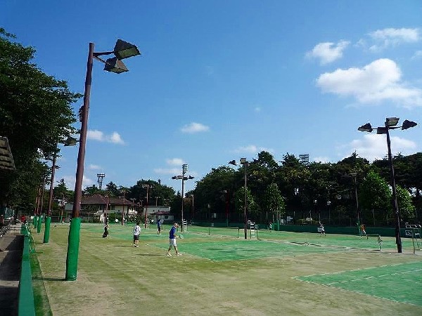 三ッ沢公園(遊び場付きの、木々に囲まれたスポーツ公園です。)