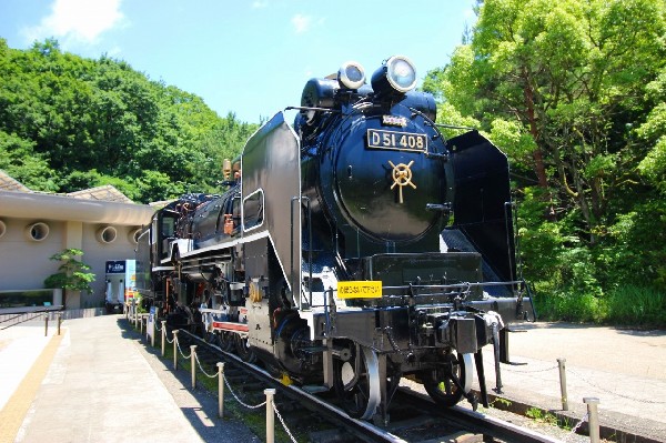 生田緑地(D51型蒸気機関車 通称「デゴイチ」が屋外展示されています。昭和15年に製造、30年余り活躍しました。生田緑地にやってきたのは昭和46年。)