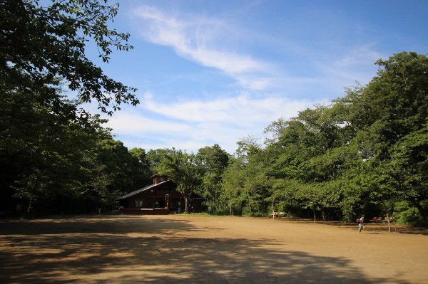 綱島公園(鶴見川の平野部に立地する標高30メートル程の独立丘上部に所在し、雑木林の広がる緑豊かな公園)