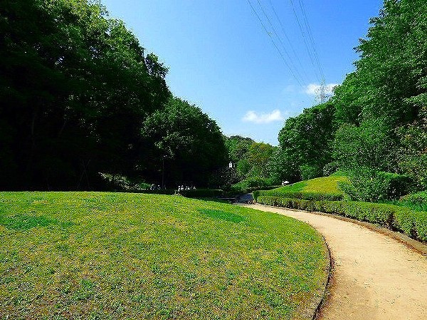 東高根森林公園(文化財である東高根遺跡や天然記念物であるシラカシ林を有する、多摩丘陵の美しい自然を今に伝える県立公園です。)