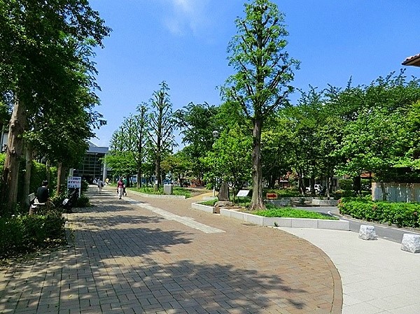 溝口緑地(溝ノ口の平坦地に小学校や図書館と併設した緑のオアシス。散歩しながら図書館でゆっくりと読書が出来る。)