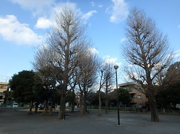 川中島公園(近隣には公園が点在し、子供たちの元気で楽しそうな声が響き渡ります。)