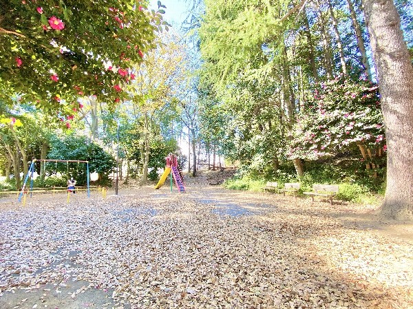 白鳥公園(住宅街らしく近隣には公園が複数ありますので、お子様にも嬉しい住環境です。きっと、お気に入りの公園がみつかるはずです。)