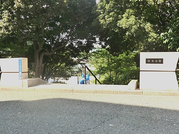 保木公園 (公園の季節の移ろいを感じられる立地。休日は四季を感じながら、ジョギングをしたり、お子様と一緒に遊べる公園です。)