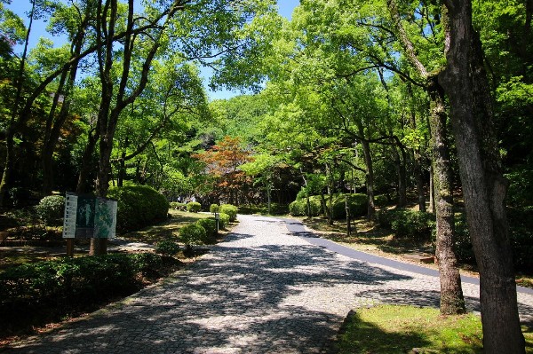 生田緑地(爽やかな風が通り、豊かな自然をそのままいかした広大な緑地。広場、プラネタリウム、バラ園など、幅広い世代が楽しめるのも魅力です。 (2))