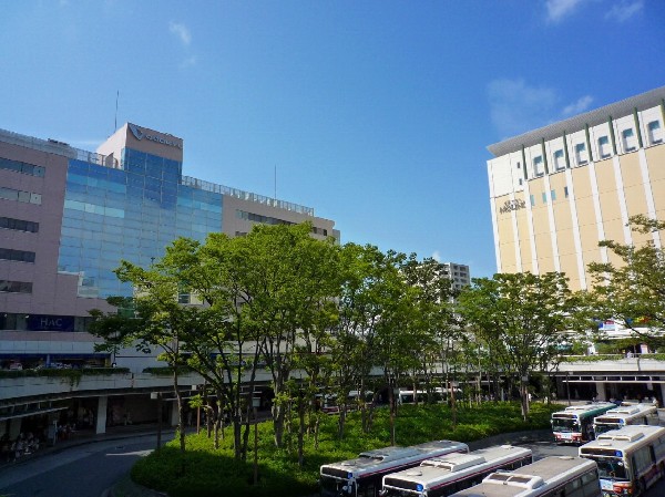 新百合ヶ丘駅(ショッピングモールや映画館のある駅ビルが立ち並ぶ人気の駅です。区役所等の公共機関も多数集まっており便利です。)