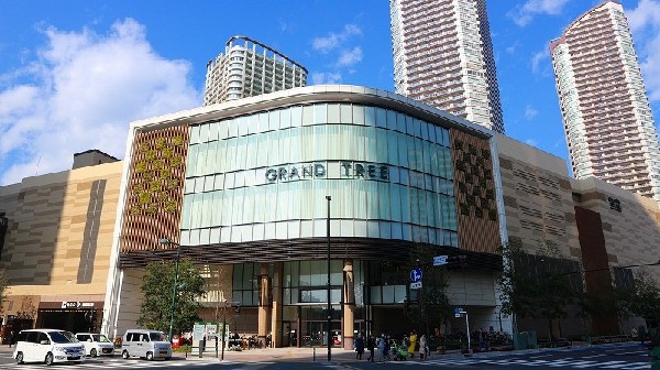 グランツリー武蔵小杉 (再開発の一環として2014年にOPEN。小杉駅の発展と共に注目を集め、3年目を迎える現在でもファミリー層の人気は衰えず。屋上庭園は憩いの場。)