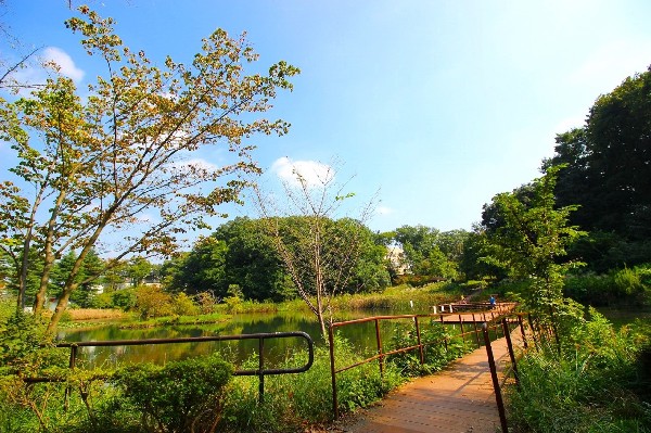 もえぎ野公園(青葉区で一番大きい池があるのどかな雰囲気の公園です。池を横断するデッキは、池の水面に近く、時々カモが一休みしています。)