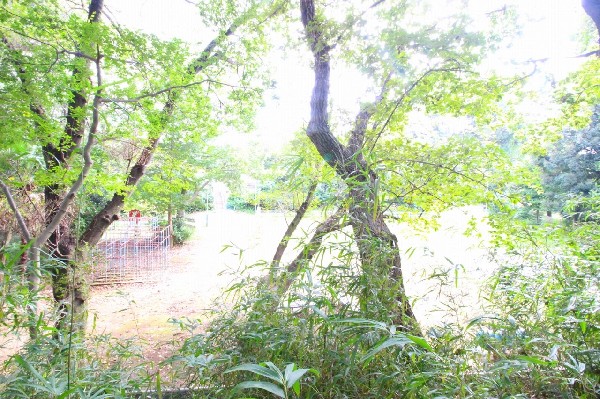 多摩美ふれあいの森　(自然樹木の間を多摩自然遊歩道が続いていて、その途中に市民健康の森があり、その先に多摩美ふれあいの森。広々とした緑豊かな公園です。)