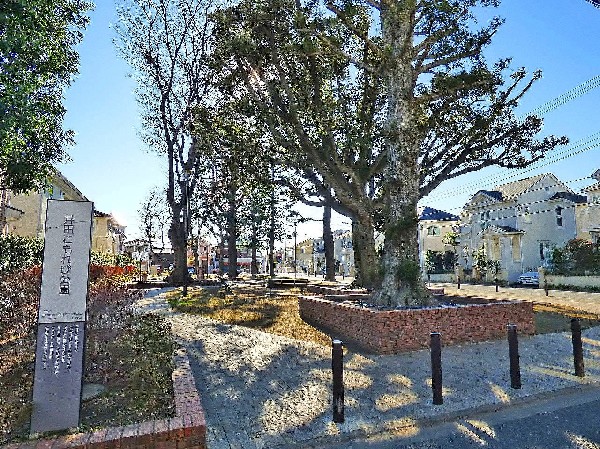 井田こもれび公園(樹木が立ち並び、木漏れ日を愉しめる公園。都会の騒がしさから解放される、大人も癒される落ち着きある空間が広がります。)