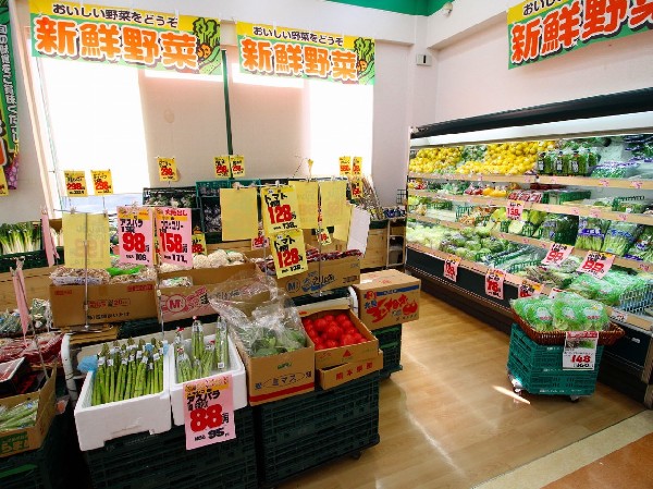 A-プライス溝の口店　(飲食店向けの「プロの食材の店」として毎日の仕入をサポートします。)