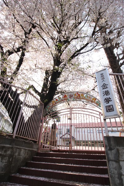 金港幼稚園(創立から100年以上ずっと変わらない遊びを中心にした保育。金港幼稚園で「生きる力」を育てよう。)