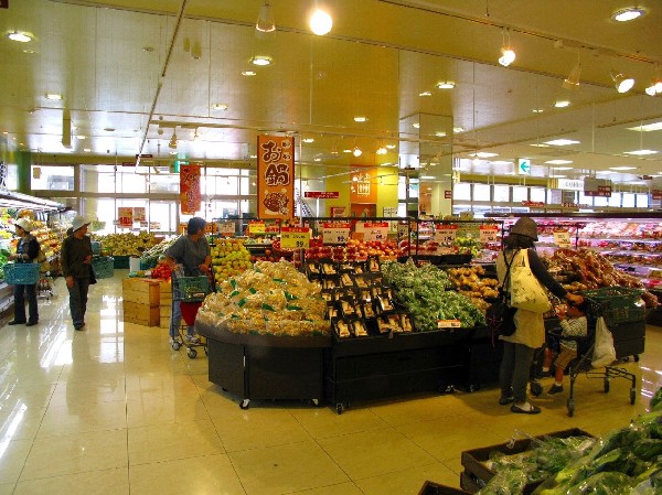 ヨークマート妙蓮寺店(幹線道路沿いにあり、自転車や車で立ち寄りやすい駐車場完備のスーパーです。)