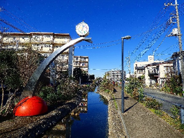 せせらぎ遊歩道(住宅街にやすらぎを与える遊歩道。水路には魚やザリガニ、カモまでいる。遊具も設置され、お子様にも嬉しい都会のオアシス。)