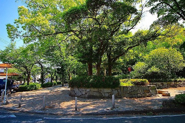 等々力緑地(子どもの遊び場やアスレチック施設などもあり、幼児から大人まで楽しめる公園。自然の多いとても広い公園なので、ゆったりと寛げます。)