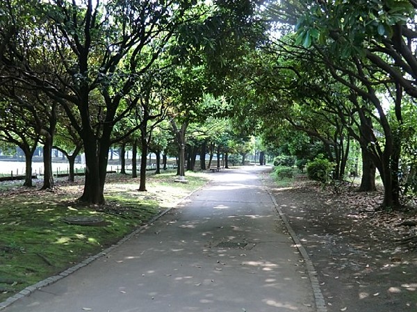 入船公園(ナイター付きの野球場とテニスコート、遊具や芝生広場、ドッグランがある自然公園。四季折々の花が美しい。)