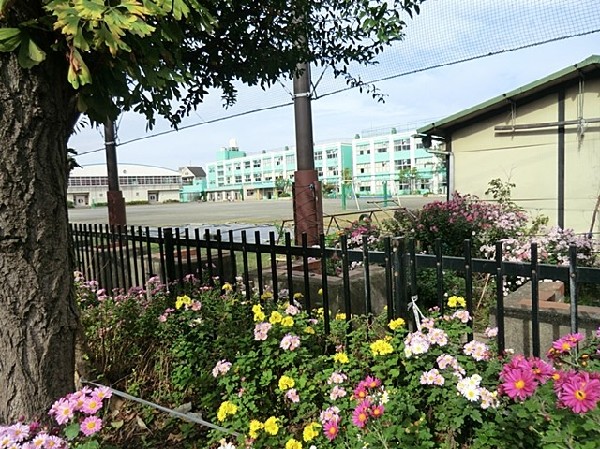 入船小学校(パステルグリーンの校舎が特徴的な入船公園近くの小学校。校庭キャンプなど独自の行事が思い出になる。)