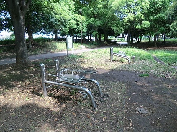 入船公園(ナイター付きの野球場とテニスコート、遊具や芝生広場、ドッグランがある自然公園。四季折々の花が美しい。)