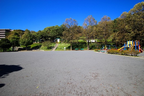 神の木公園(野球場も併設されている大きな公園。遊具がありお子様も楽しめます。高台からはみなとみらい一望できます。)