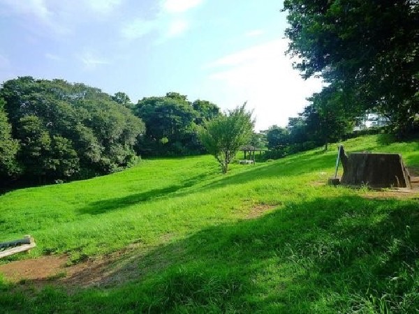 東本郷公園(竹林を活かした散策路、起伏ある原っぱや遊具があり、のびのびと遊べる憩いの広場。地域の行事も行われる。)