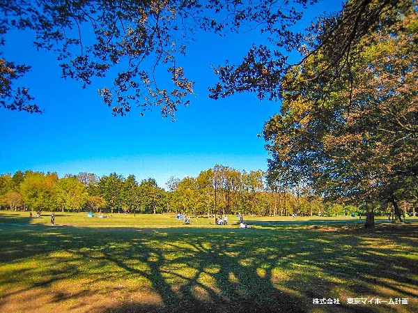 小金井公園(大きな芝生やドッグランやバーベキュー場、ソリゲレンデ、サイクリングコースなど多彩な施設が集まり、週末にはたくさんの家族連れで賑わいます。)