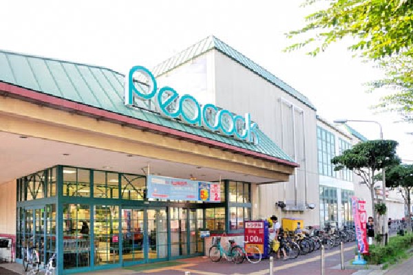ピーコックストア東小金井店(1階に生鮮食料品や衣類・日用雑貨、ファストフード店の「マクドナルド」、2階にレンタルショップの「GEO」と書店の「文教堂」が入っています。)