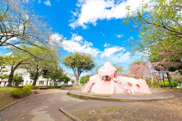 田無市民公園(園内にあるタコの形をしたすべり台が人気を呼び、通称タコ公園の名で親しまれています。また、夏期には流れやジャブジャブ池なども子供たちの格好の遊び場です。)