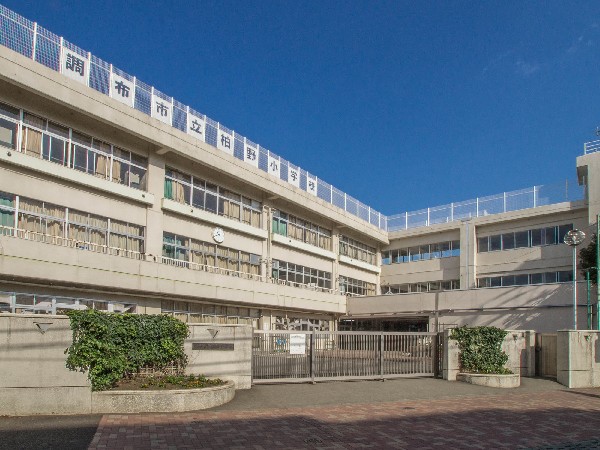 調布市立柏野小学校(登校距離も近く、小学生のお子様がいらっしゃるご家庭にはうれしいですね。)