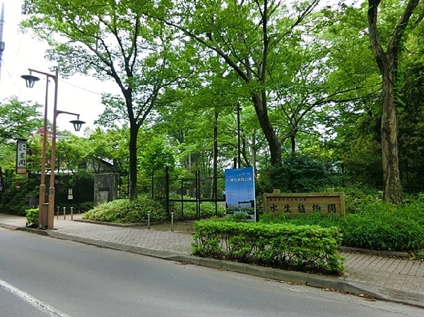 神代植物公園(園内には約4,500種類、10万株の植物が植えられ、梅や桜の名所としても知られる。)